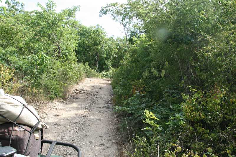 Mexico & Guatemala 2010 - 1264